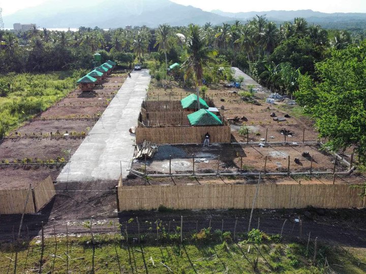 84 sqm Residential Farm Lot For Sale in San Juan Batangas