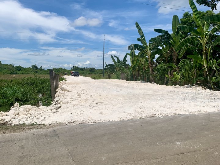 Lot Only in Pajo Daan Bantayan Cebu