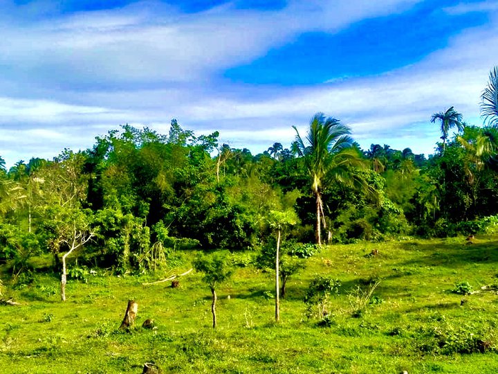 Farm Residential lot for Sale in Cavite