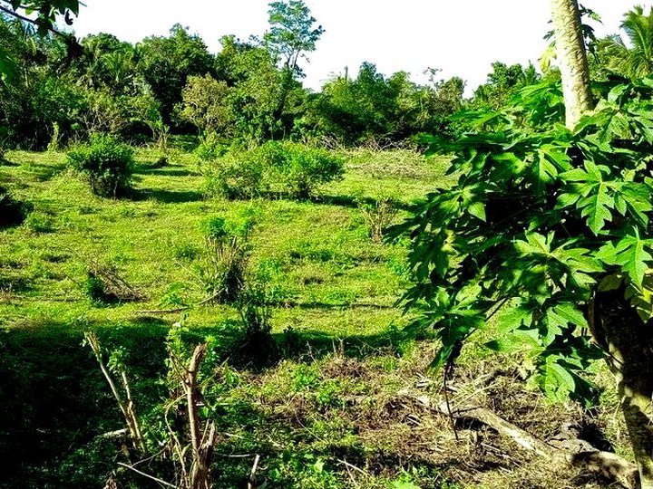 Farm Lot with peaceful location and near Tagaytay