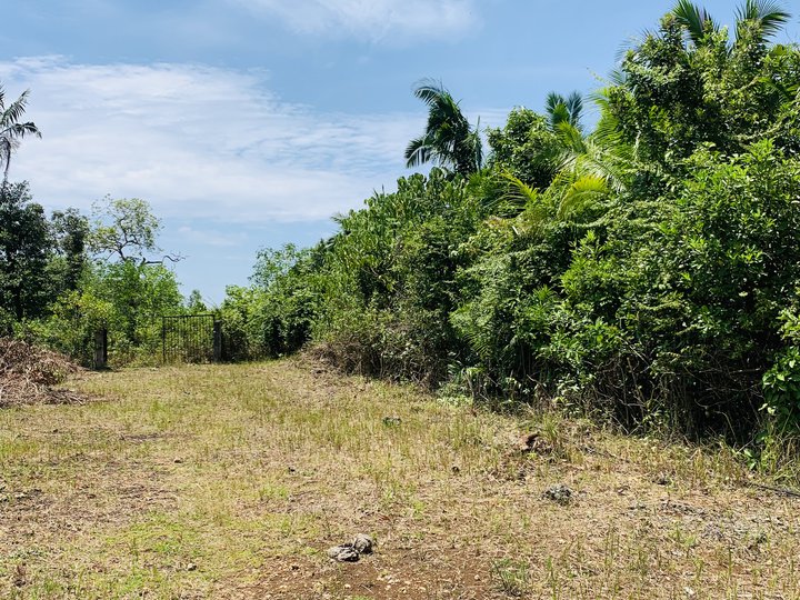 Land for Sale Minutes away to Panglao International Airport