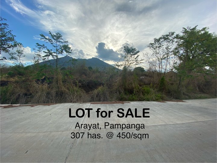 307 Hectares Agricultural Lot For Sale in Arayat Pampanga