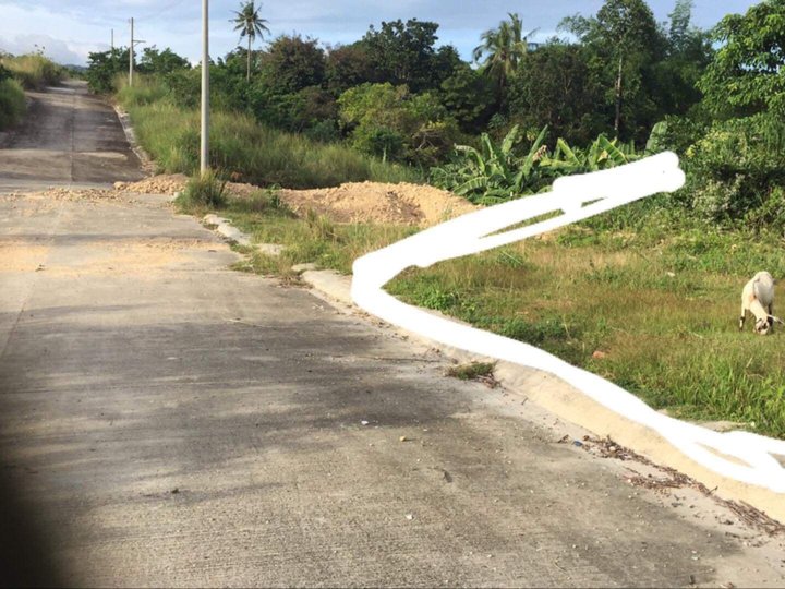 200 sqm Residential Lot for Sale at Club 30 Heights in Minglanilla Cebu