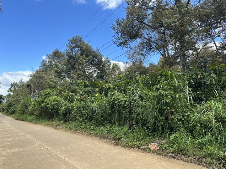 1 Hectare Farm Lot For Sale in Calinan Davao City