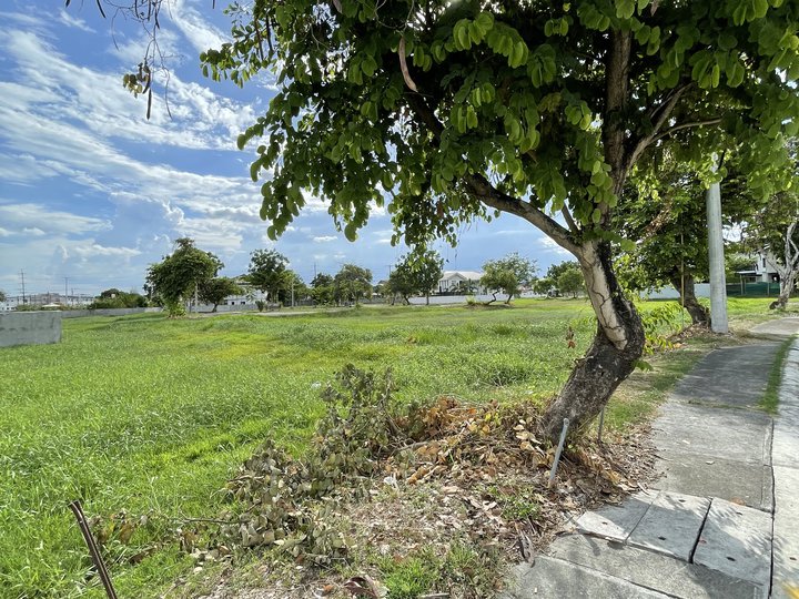 250 sqm Lot for Sale in Woodgrove Park San Fernando Pampanga