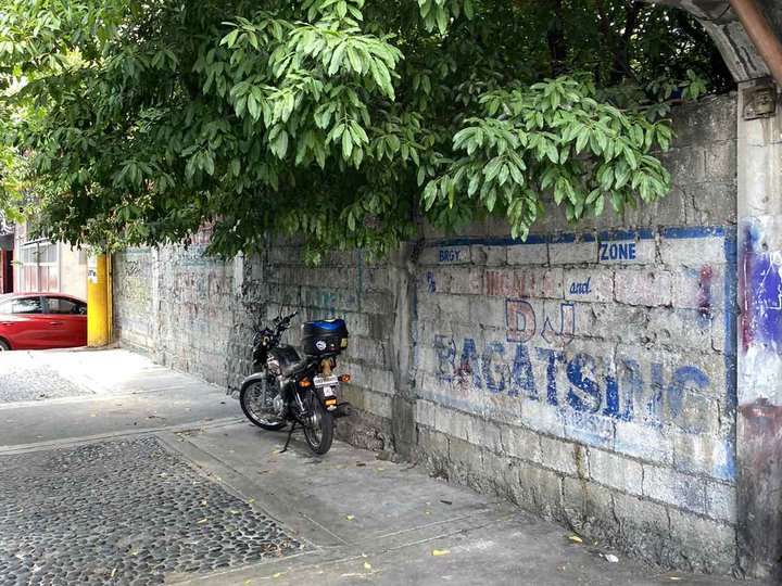 195 sqm Commercial Lot For Sale in Manila Metro Manila