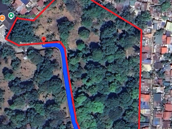 1.46 hectares Lot for Sale in Antipolo beside Bosay Resort Brgy San Roque Rizal