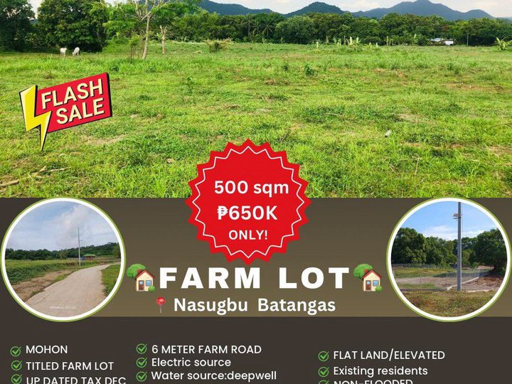 500 sqm Agricultural Farm For Sale in Nasugbu Batangas