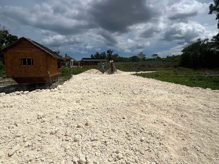 Residential Farm in Bohol