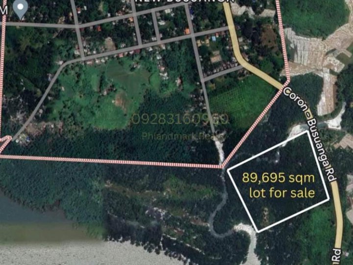 8.97 Hectares Agricultural Farm For Sale in New Busuanga Palawan