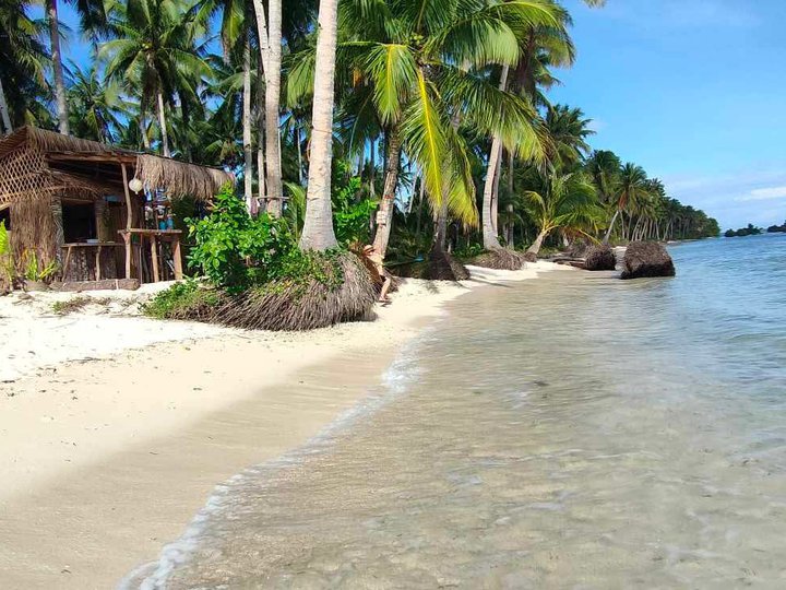 3.22 hectares Beach Property For Sale in Dapa, Siargao Islands