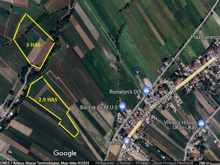 5.9 hectares Agricultural Farm For Sale By Owner in Barangay Piaz, Villasis, Pangasinan