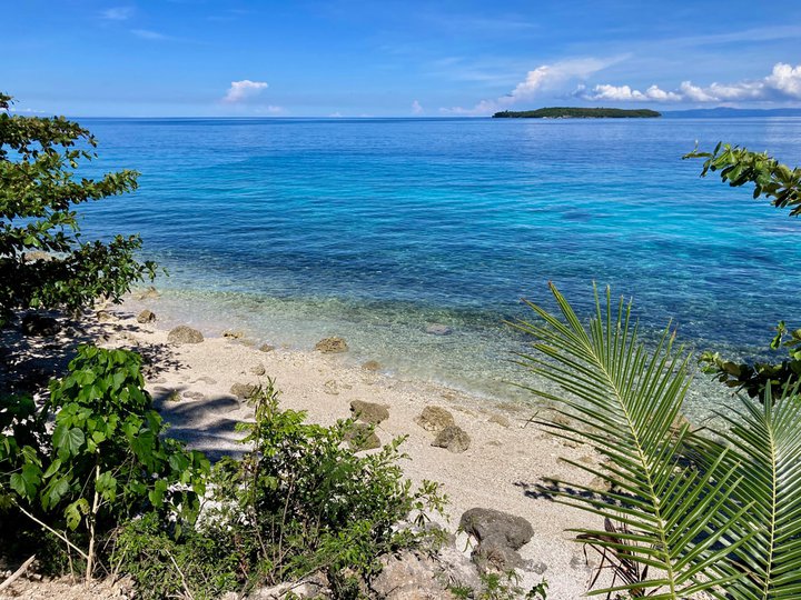Beach Lot at Oslob for sale