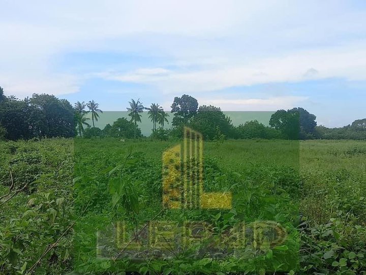 8hectares Farmland  for Sale