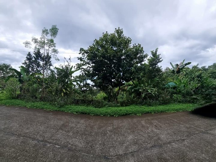 1,542 sqm lot for sale (forest view) in Mandala 2 Timberland Heights