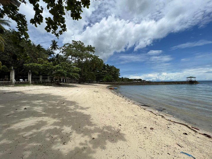 1.2 hectares Beach Property For Sale in Samal Davao del Norte