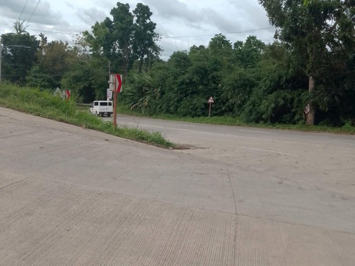 1.5 Hectares Residential Lot along the high-way in SAN AGUSTIN, TAGUM CITY