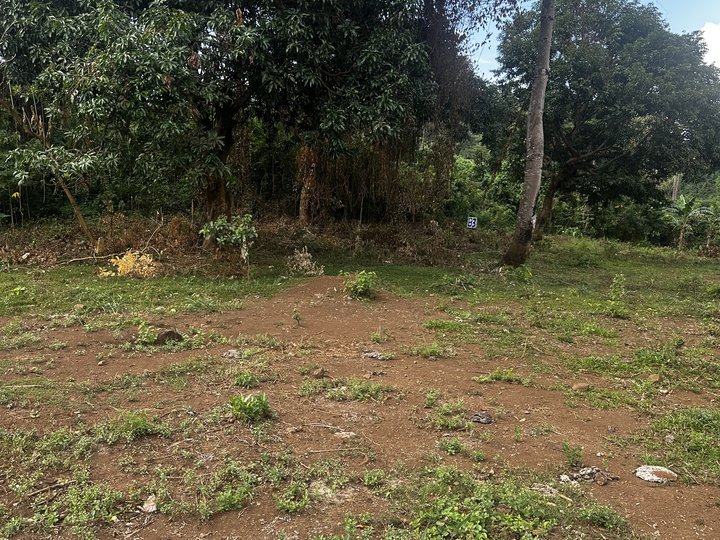 500 sqm Farm Lot in Baras Lot Overlooking Laguna Lake and Mountain view