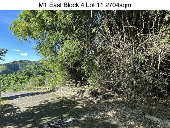 RESIDENTIAL FARM LOT FOR SALE WITH MOUNTAIN AND VALLET VIEW TIMBERLAND