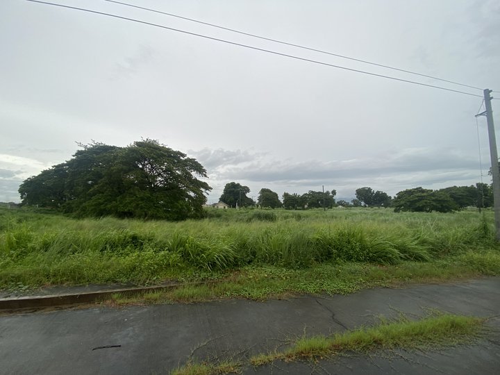 FOR SALE RESIDENTIAL LOTS WITHIN AN EXCLUSIVE COMMUNITY NEAR SM PAMPANGA AND NLEX