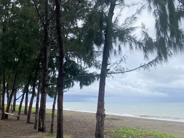 BEACH LOT FOR SALE IN INFANTA, QUEZON