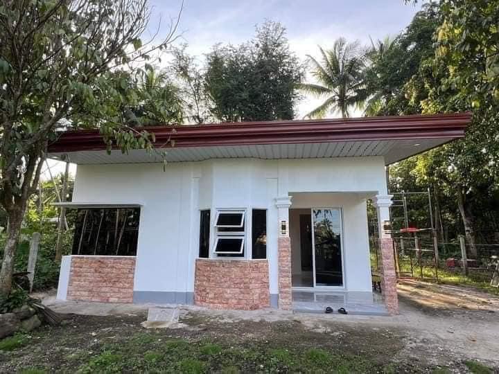 2-bedroom Single Detached House For Sale in Valencia Luzurriaga Negros Oriental