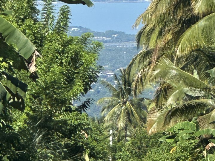 Overlooking Farm Lot For Sale in Catigan Davao City