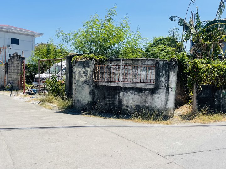 268 sqm Residential Lot For Sale in Bacoor Cavite