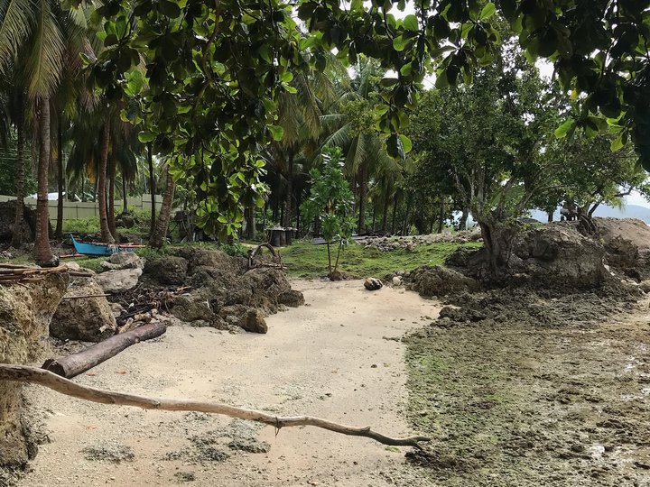 Farm Lot fronting beachline in Samal Island