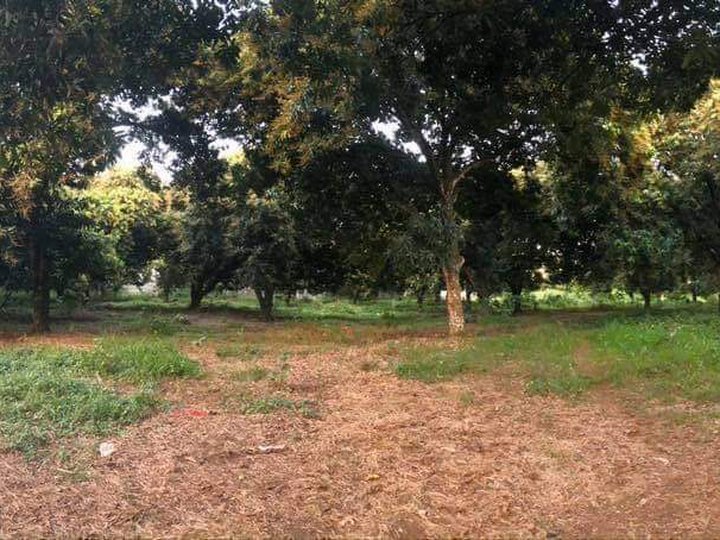 3,000 sqm Residential Lot For Sale in Catalunan Pequeno Davao City ...