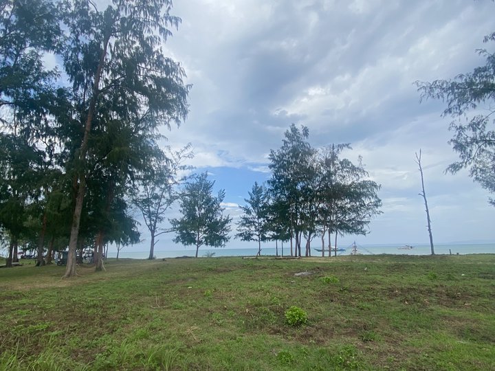 BEACH LOT FOR SALE - INFANTA, QUEZON