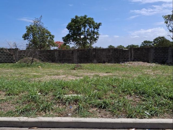 Commercial Lot For Sale Daang Hari Road Cavite