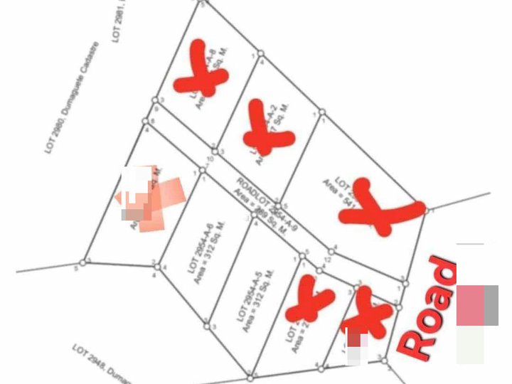 312 sqm Residential Lot For Sale in Dumaguete Negros Oriental