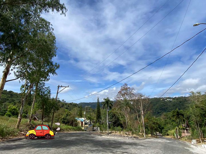 Lot for sale 300 sqm in Tagaytay