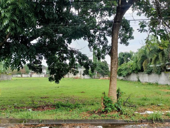 350 sqm Residential Lot For Sale in Telebastagan San Fernando Pampanga