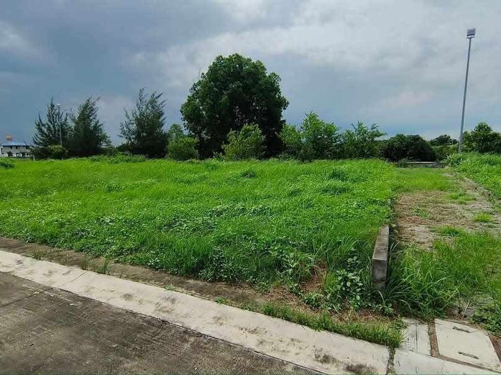 251 sqm Residential Lot For Sale in Cabanatuan Nueva Ecija