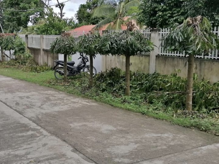 Residential Lot for Sale