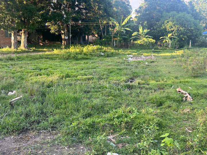 407 sqm Residential Lot For Sale in Dumaguete Negros Oriental