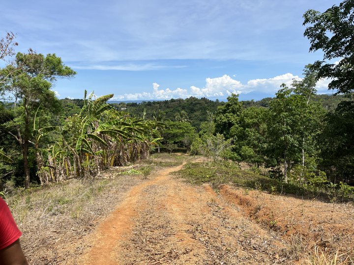 15 hectares Raw Land For Sale in Tanay Rizal