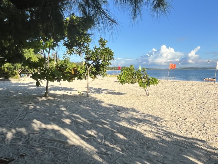 700 sqm 1.5has beachfront, white sand with trees, Virgin island