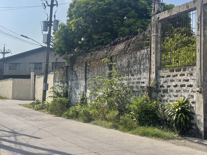 617 sqm Industrial Lot For Sale Brgy Karuhatan in Valenzuela Metro Manila