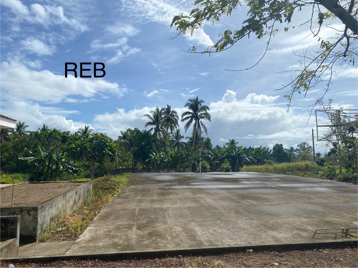 Installment Lot For Sale near PISAY Bicol Region | open for Pag-Ibig Financing