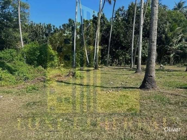 1,281 sqm Residential Lot For Sale in Dumaguete Negros Oriental