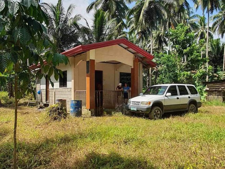 7,598 sqm Residential Farm for sale in new bataan Davao de oro (Compostela Valley)