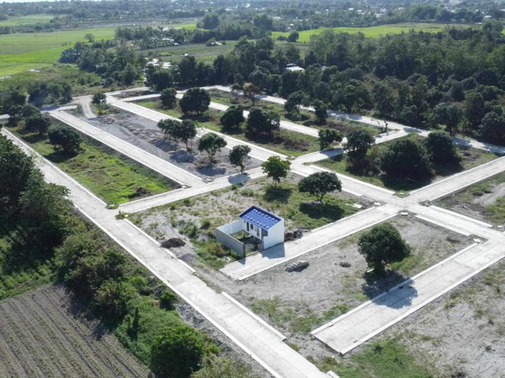 Prime Residential Lot for Sale in Sta. Cecilia Village, Capas, Tarlac