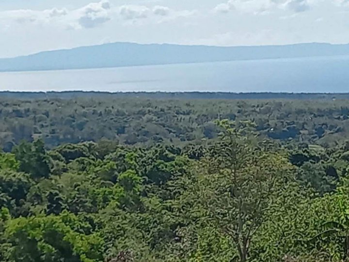 8,000 sqm Farm Lot For Sale