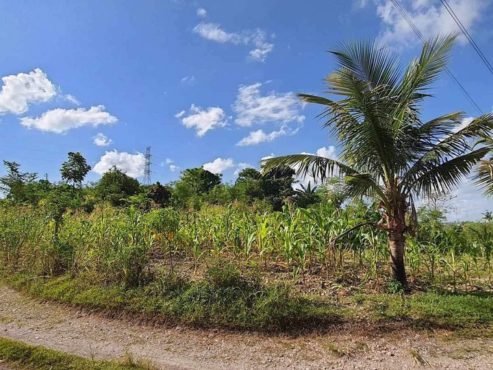 2 hectares Agro-Industrial Farm For Sale