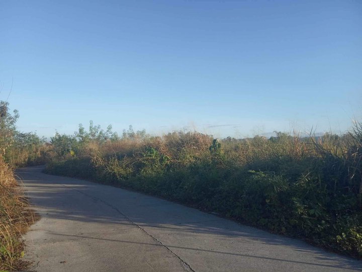 2.8 hectares Agricultural Lot For Sale in San Miguel Bulacan