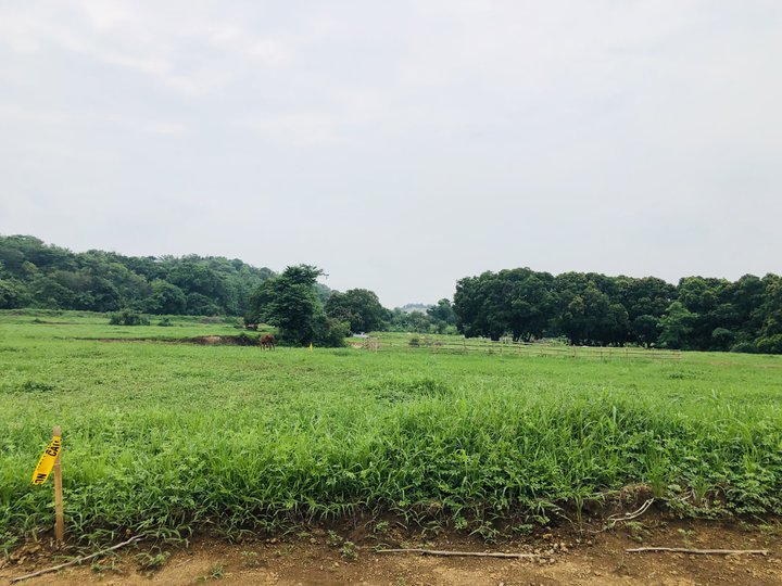 1000 sqm Agricultural Farm For Sale in Nasugbu Batangas