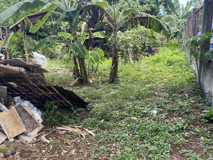 892 sqm Residential Lot For Sale In panglai Bohol